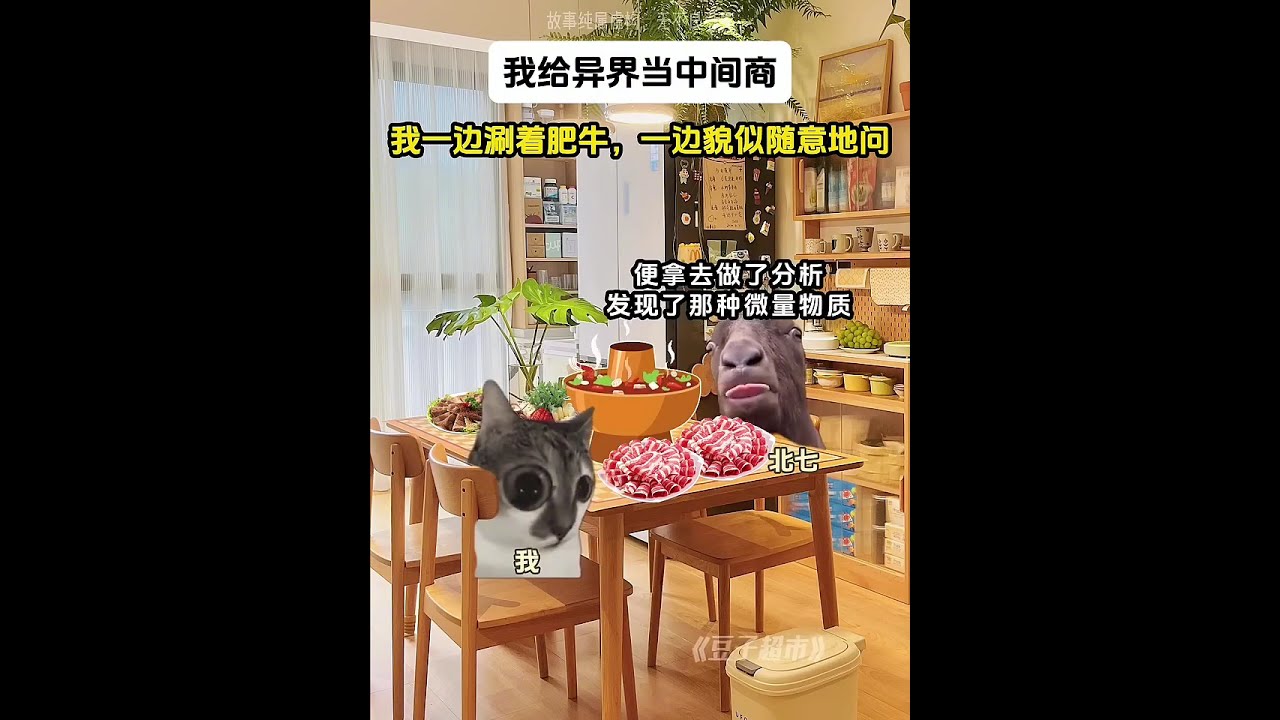 大合集《我給異界當中間商》豆子超市第10-20集#猫meme  #真实还原 #搞笑  #猫meme小剧场  #万万没想到  #内容过于真实  #funny #fyp #热门 #catmemes