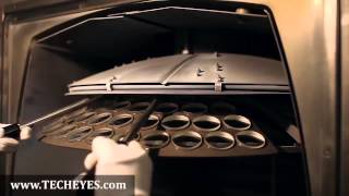 We Are Steiner Video-Review by www.TECHEYES.com