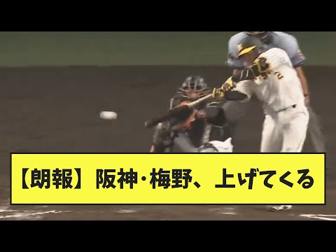 【朗報】阪神･梅野、上げてくる【なんJ反応】