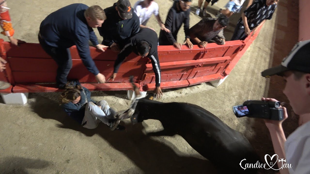 Les Estivales 2024 - Course au plan - CHATEAURENARD - 29/06/2024