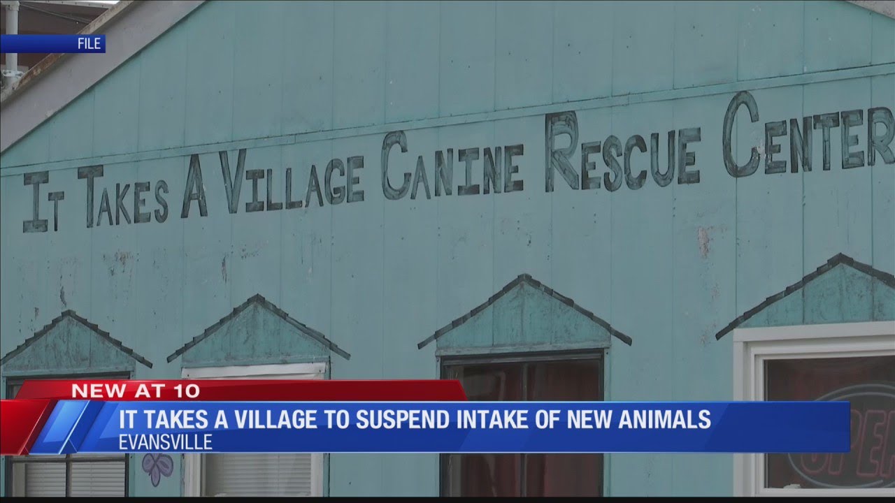 It Takes A Village to suspend intake of new animals