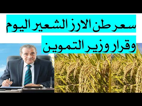 سعر الارز الشعير والابيض والكيلو للمستهلك اليوم