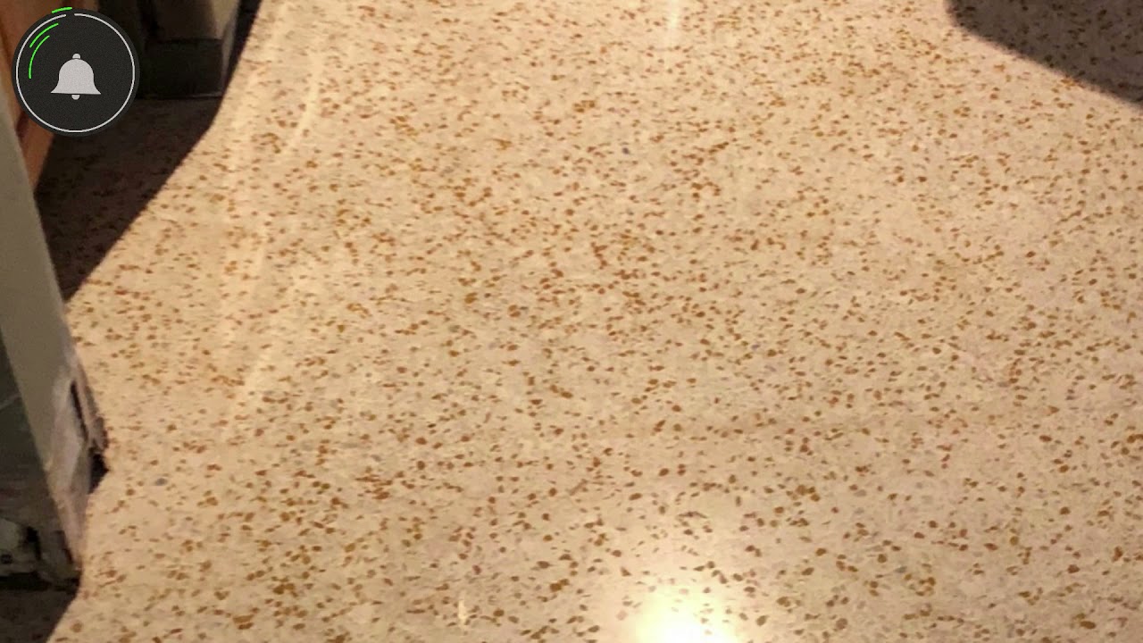 Polishing Terrazzo Flooring Service in Miami Springs