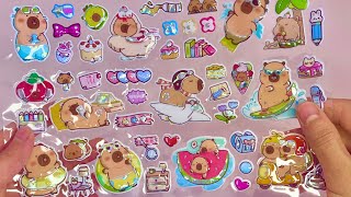 ЮCAPYBARA sticker book #sticker #toys #cartoon #unboxingtoys #capybara #capybaraworld