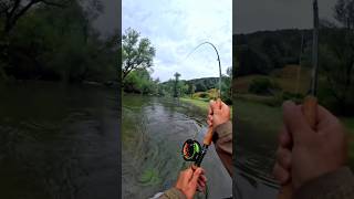 What a CRAZY Fish Catch! 😱🐟