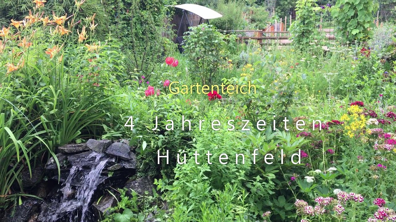 Gartenteich in 4 Jahreszeiten YouTube