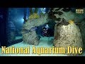 National Aquarium Visit | JONATHAN BIRD'S BLUE WORLD