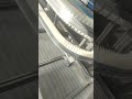 flexible chain plates gripper conveyor