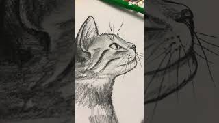 Https:youtube.com/Shorts/Tf3Cykjep0A?Si=Rumsptti8Rxbk1Bh