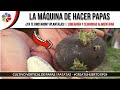 🍠 La MÁQUINA de HACER PAPAS | Cultivo Vertical, en balcones, patios y terrazas. #CreaTuHuerto Ep24