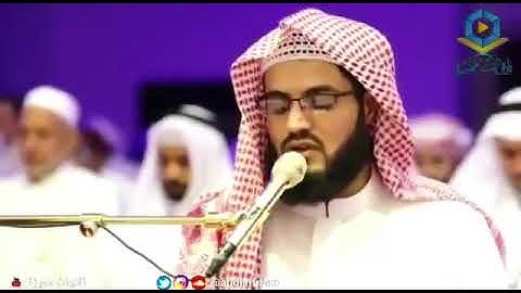 من سورة يوسف [ فلما أن جاء البشير ] رعد الكردي