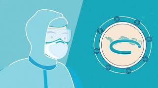 Causes of elastomer O-ring and seal failure - Outgassing