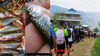 Chakhesang Naga traditional way of catching fish & escargot TSÜKHENYIE festival... ZAPAMI VILLAGE 🐚🐟
