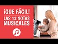 Las 12 NOTAS MUSICALES Explicadas [¡Así de Simple!]