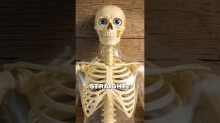 What If U Slept On The Floor For 30 Days  facts knowledge