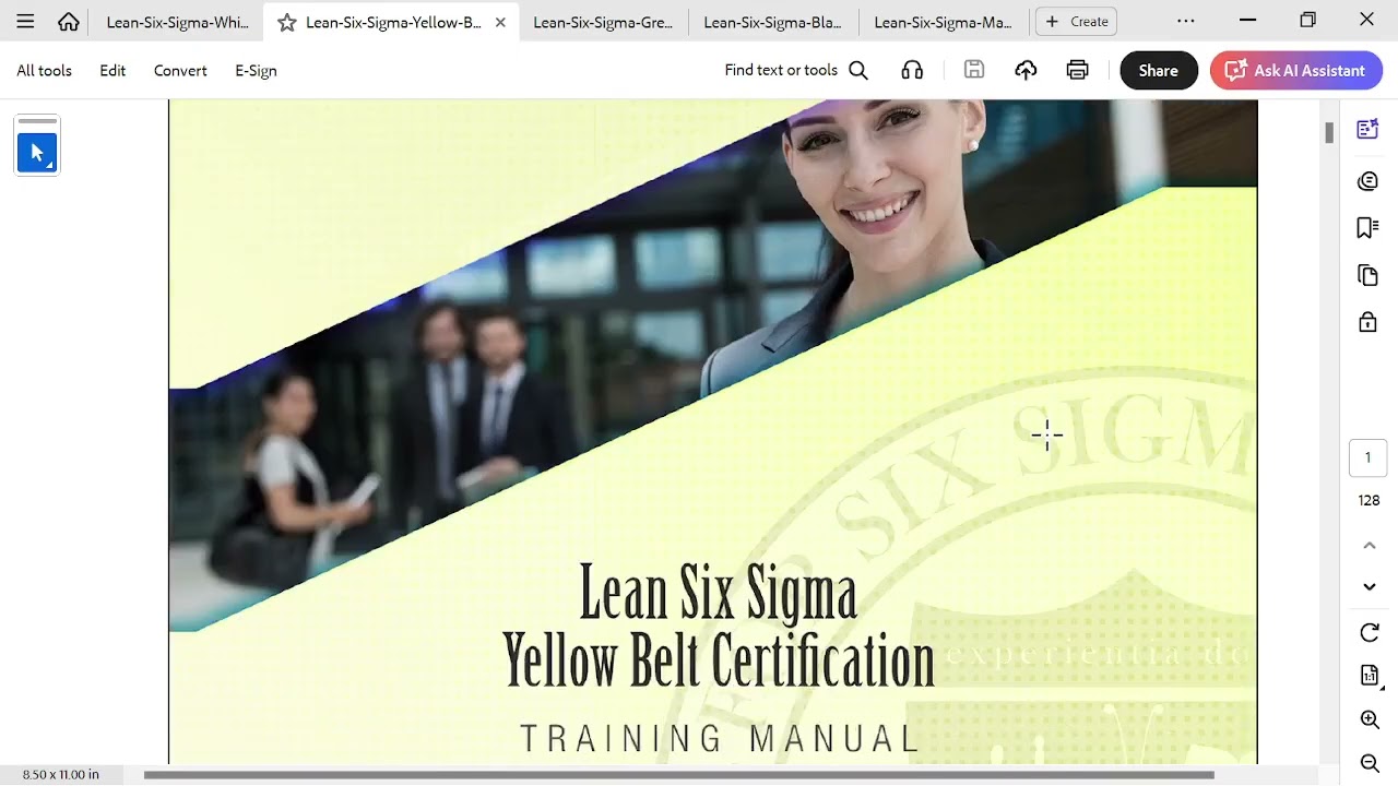 LSS05: Lean Six Sigma Karate Belts Certification Path