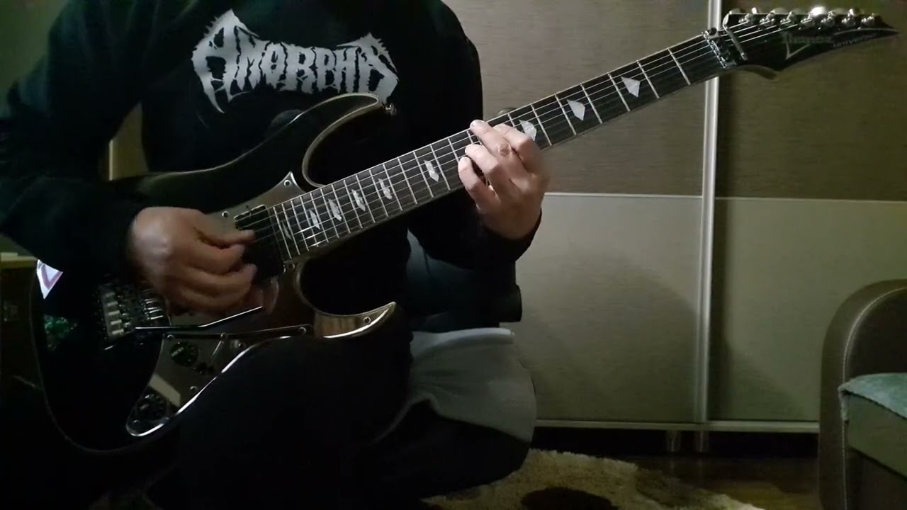 Phoenix - Baba Novak - guitar cover.