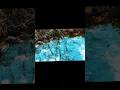 Duck pond 4K #nature #duck #drone #fpv #pondicherry #teich #wald #forst