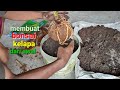 🔴 belajar membuat bonsai kelapa dari awal ⁉️ coconut bonsai