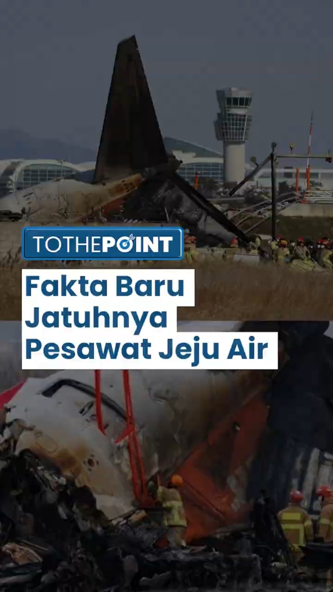 Fakta Baru Jatuhnya Pesawat Jeju Air di Korea Selatan: Ada DNA Burung Baikal di Mesin Pesawat!