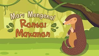 Mengenal Rantai Makanan | Sains | IPA SD | Edukasi Anak