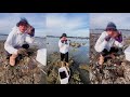 Crab catching | Fishing video #crab #fishing #catching #hunting