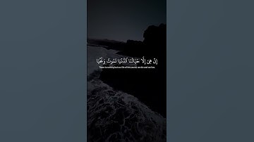 #quran #اللهم_صل_وسلم_على_نبينا_محمد #راحة_نفسية #تلاوة #هزاع_البلوشي #قران #لايك #اكسبلور