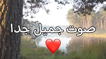 القران الكريم بصوت جميل 😴 ما تيسر من سورة القلم