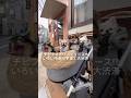 最近のチビファミリーがカオスすぎてニュースにした🐾#shorts