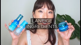 BAHAS TUNTAS INGREDIENTS LANEIGE WATER BANK | tutinnitut