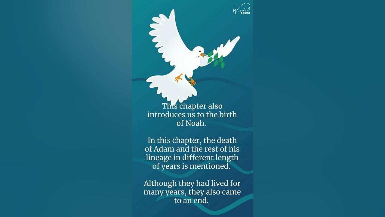 Genesis 5 Chapter Summary The Generations Of Adam YouTube genesis-5-chapter-summary-the-generations-of-adam-youtube