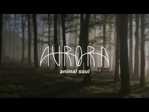 Animal Soul AURORA