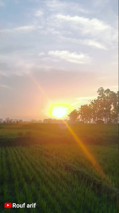 Story Wa Dj Selamat Jalan #Shorts