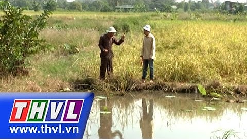 THVL | Nhà nông hội nhập: Diệt chuột
