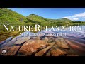 3 hours of amazing nature scenery  relaxing ambient music for stress relief