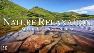 3 Hours of Amazing Nature Scenery \& Relaxing Ambient Music for Stress Relief