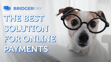 BridgerPay: The best solution for online payments | SCALE ANY BUSINESS
