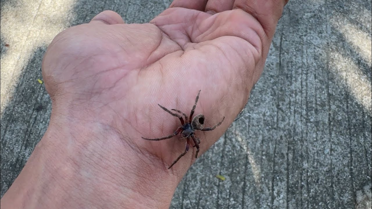 Dito tayo nagsimula!😊 Pakitapos ng video guys! Love you