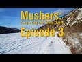 Mushers: Conquering The Yukon Quest episode 3