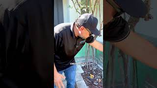 Stone Veneer Installation! 🏡✨ fyp #stucco #familyowned #bayarea #sanjose