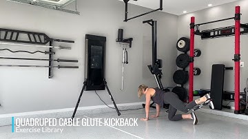 Quadruped Cable Glute Kickback
