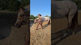 Vídeo de Junior Showmanship