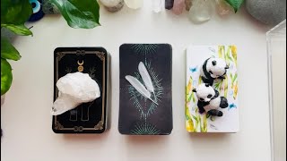 Twin Flame Connections 🔥🕊️⏰🥰 PICK A CARD Reading. 🥰⏰🕊️🔥Timeless Messages