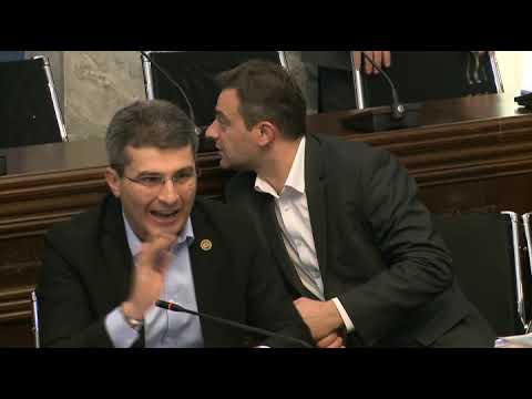 არც 2003-მდე და არც 2003-ის მერე ამ ინსტიტუტის იურიდიული სახელი არ ფიქსირდება - მდინარაძე