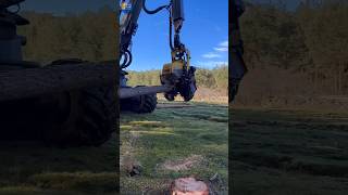 Powerful Tree Cutting Machine 😱🌲पेड़ों को काटने वाली जबरदस्त मशीन! 😲🌲#viralvideo