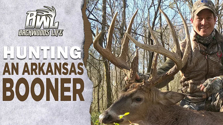 BOONE and CROCKETT Arkansas Bow Buck