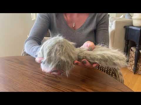 Hyper Pet - Doggie Tail Dog Toy - Get Started