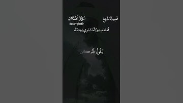 هُوَ ٱلَّذِی یُحۡیِۦ وَیُمِیتُۖ|محمد صديق المنشاوي|سورة غافر|استمع إلى بكاء المنشاوي رحمه الله 😭😭.