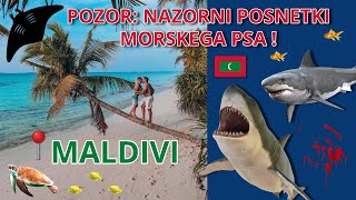 PO OGLEDU TEGA VIDEA BOSTE NA MALDIVE GLEDALI POPOLNOMA DRUGAČE