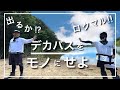 【ついに出るか!?︎ ため池のロクマル!!︎】デカバス大連発!!︎ やっぱりこの釣り方は、簡単に釣れちゃいます。誰でも簡単にすぐ真似できて良く釣れる釣り方。よければ皆様もぜひマネしてみて下さい。『バス釣り』